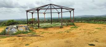 Plot For Resale in Yadagirigutta Hyderabad  5934911