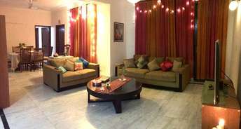3 BHK Apartment For Resale in Ashoka Enclave Faridabad 5935023