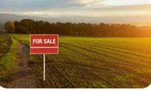Commercial Land 25000 Sq.Ft. in Dongargaon Nagpur