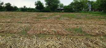 Commercial Land 1152 Sq.Yd. For Resale In Motera Ahmedabad 5936650