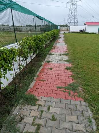 Plot For Resale in Tappal Aligarh  5936784