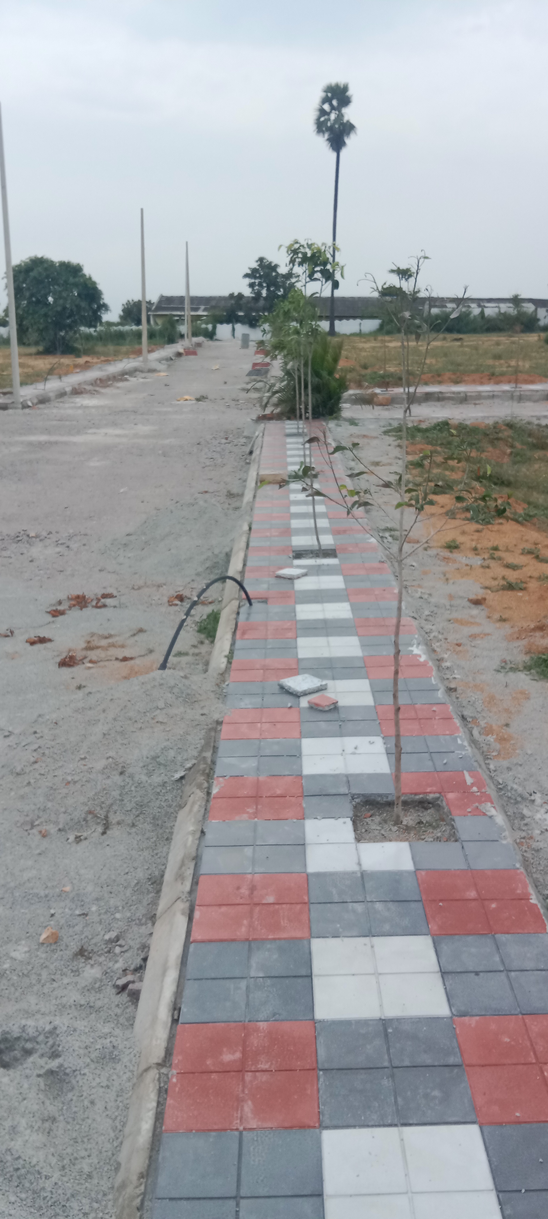  Plot For Resale in Saifabad Hyderabad 5940320