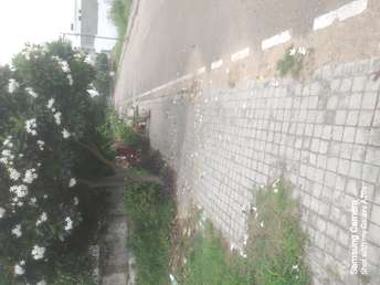  Plot For Resale in Mullanpur Chandigarh 5941642