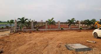 Plot For Resale in Thimmapur Hyderabad 5944147
