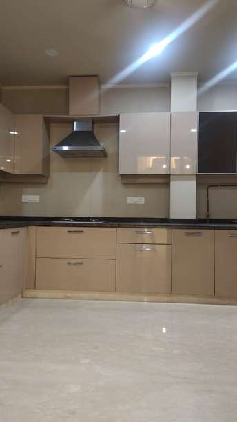 3 BHK Builder Floor For Resale in Greater Kailash I Delhi  5947965