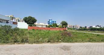  Plot For Resale in Sector 9a Gurgaon 5948767