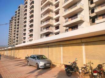 2 BHK Apartment For Resale in Sector 87 Faridabad  5948978