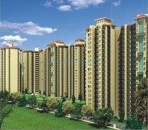 3 BHK Apartment For Resale in Trident Embassy Noida Ext Sector 1 Greater Noida 5948983