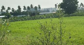 Commercial Land 3858 Sq.Ft. For Resale In Kunchanapalli Vijayawada 5949169