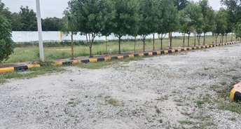  Plot For Resale in Kphb Hyderabad 5949262