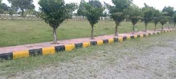  Plot For Resale in Kompally Hyderabad 5949289