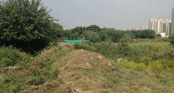  Plot For Resale in Jaypee Greens Greater Noida 5949609