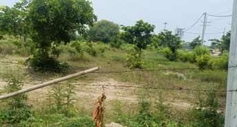  Plot For Resale in Sector 8 Sonipat 5949642