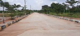 Plot For Resale in Narapally Hyderabad  5951947