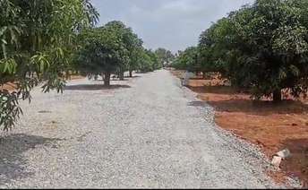  Plot For Resale in Attapur Hyderabad 5952483
