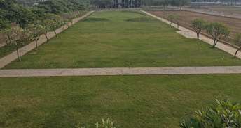  Plot For Resale in Sector 2a Dharuhera 5953617