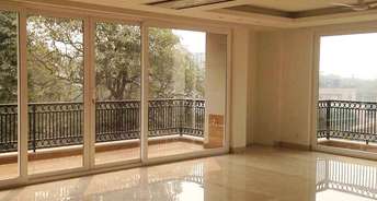 2 BHK Builder Floor For Resale in Green Park Delhi 5955284