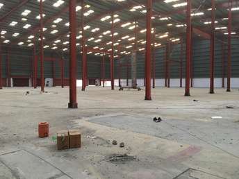 Commercial Warehouse 81500 Sq.Ft. For Rent In Chhapraula Noida 5955154