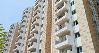3 BHK Apartment For Resale in Ou Colony Hyderabad 5956474