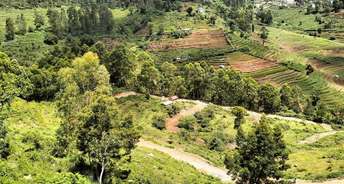 Commercial Land 1 Acre For Resale In Kodaikanal Dindigul 5956959