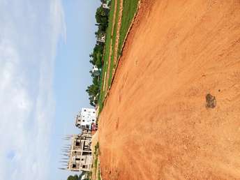 Plot For Resale in Pada Sahi Bhubaneswar  5960016