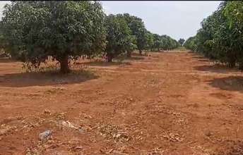  Plot For Resale in Appa Junction Hyderabad 5960858