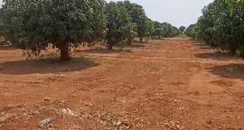  Plot For Resale in Appa Junction Hyderabad 5960858