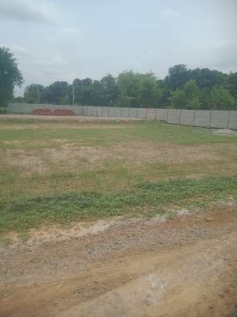  Plot For Resale in Gaur Yamuna City 32nd Park View Yex Sector 19 Greater Noida 5962155
