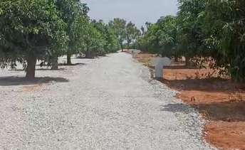  Plot For Resale in Polepally Hyderabad 5964417