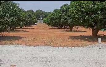  Plot For Resale in Red Hills Hyderabad 5964441