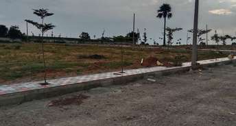  Plot For Resale in Bachupally Hyderabad 5971322