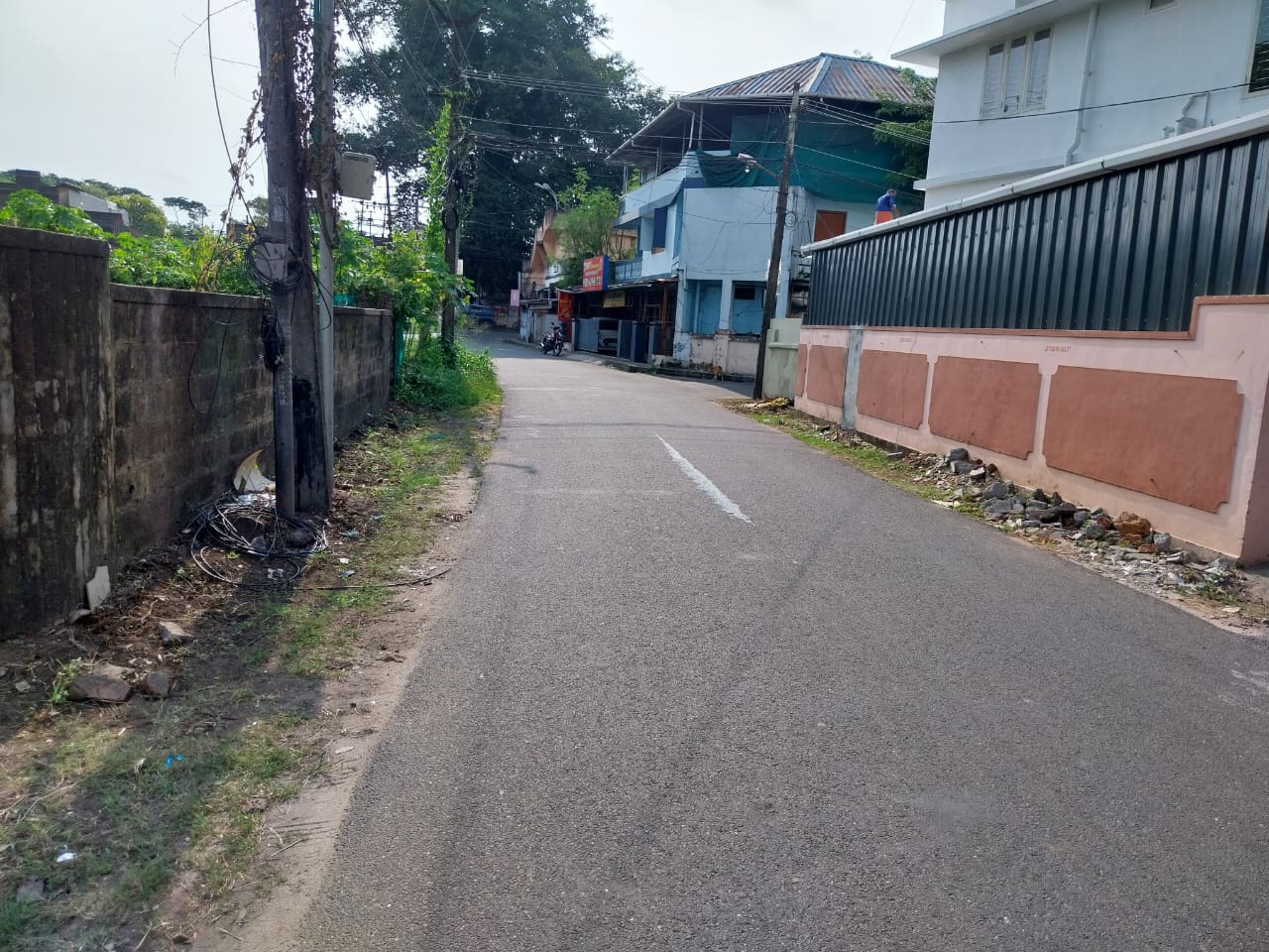 Resale 1306 Sq.Ft. Plot in Palluruthy Kochi 5972004