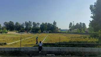 Plot For Resale in Shimla Bypass Road Dehradun  5972126