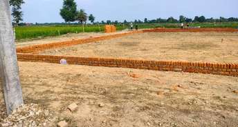  Plot For Resale in Charbagh Lucknow 5977422