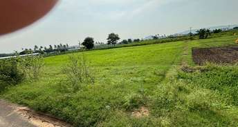 Commercial Land 3980 Sq.Yd. For Resale In Vaddeswaram Vijayawada 5977905