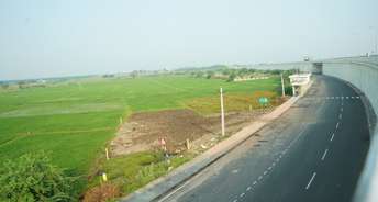 Commercial Land 764 Sq.Ft. For Resale In Kanchikacherla Vijayawada 5979038