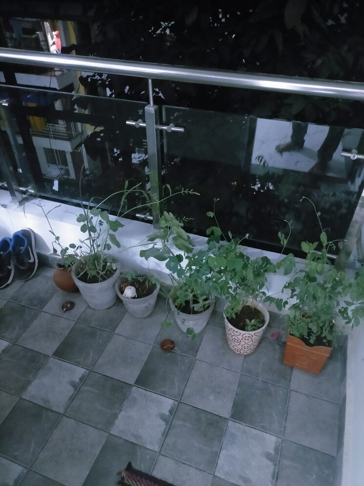 Balcony, katara hills 3 Bedroom 1150 Sq.Ft. Apartment In Katara Hills Bhopal 5979552