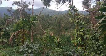 Commercial Land 30 Acre For Resale In Madikeri Coorg 5980540