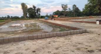  Plot For Resale in Sitapur Road Lucknow 5981183