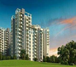 2 BHK Apartment For Resale in Sikka Kaamya Greens Noida Ext Sector 10 Greater Noida  5982816