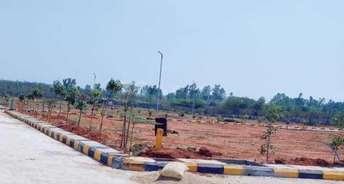  Plot For Resale in Sector 37 Greater Noida 5983493