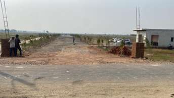 Plot For Resale in Jewar Greater Noida  5984130