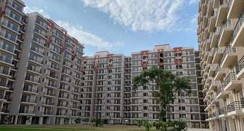 2 BHK Apartment For Resale in Lotus Affordable Housing Sector 111 Gurgaon 5984428