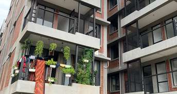 2 BHK Apartment For Resale in Arete India Our Homes 3 Sector 6 Gurgaon 5984503
