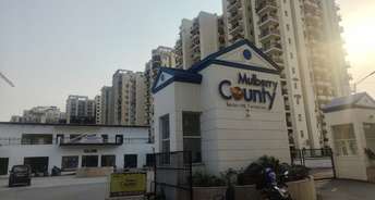3 BHK Apartment For Resale in Espire Hamilton Heights Sector 37 Faridabad 5985622