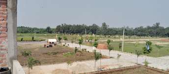 Plot For Resale in Sultanpur Road Lucknow  5989184