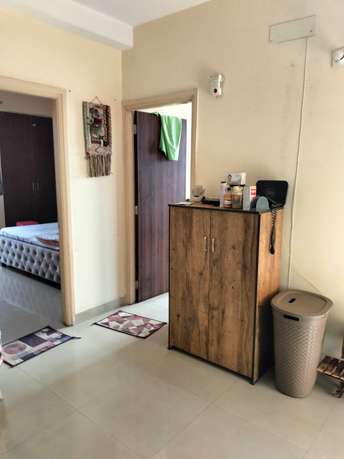 3 BHK Apartment For Resale in Sg Oasis Vasundhara Sector 2b Ghaziabad 5989937