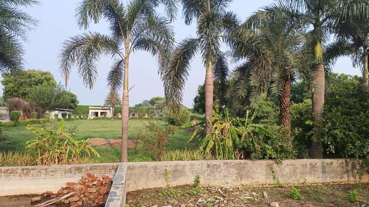 Farmhouse Land On Sale In Malerna Faridabad Near Delhi Mumbai Expressway