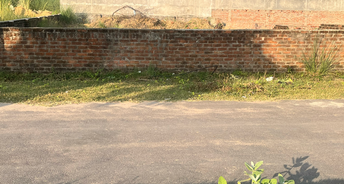  Plot For Resale in Dayal Friends Colony Amar Shaheed Path Lucknow 5993420