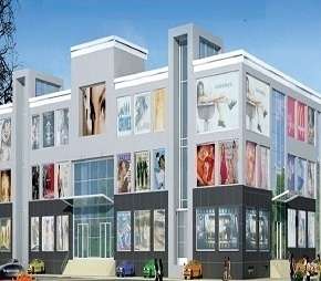 5 BHK Independent House For Resale in Omaxe Plaza Sonipat Sector 8 Sonipat 5993917